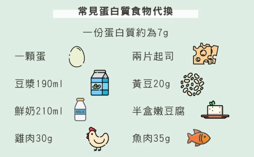 蛋白质食物来源