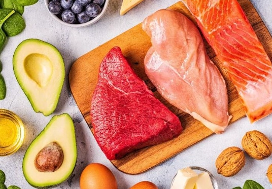 蛋白质食物来源