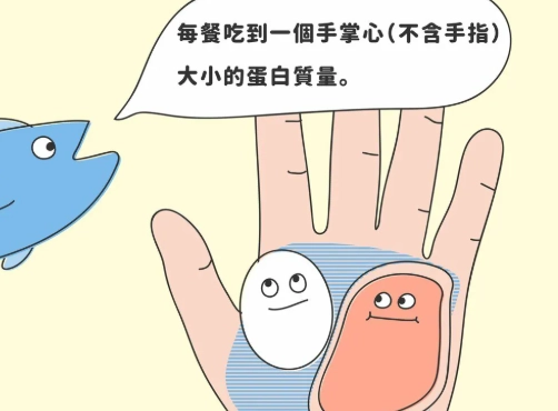 手掌計算蛋白質