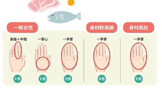 手掌計算蛋白質