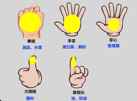 蛋白質手掌測量法