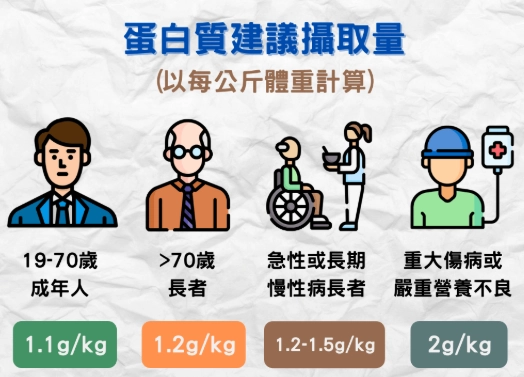 健身蛋白質需求