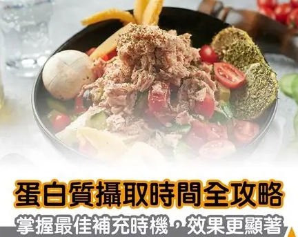 蛋白質攝取量計算