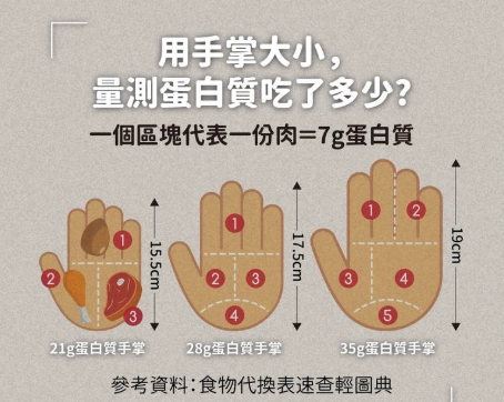 蛋白質手掌測量法