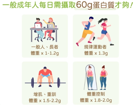 蛋白質攝取量計算