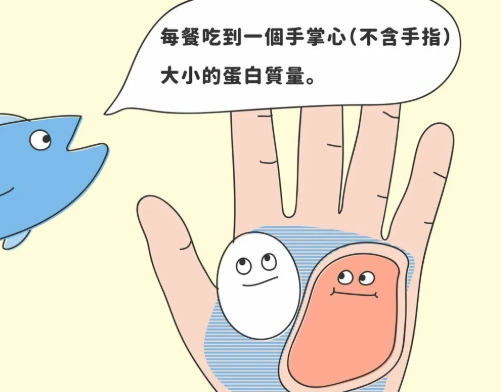 蛋白質攝取量計算