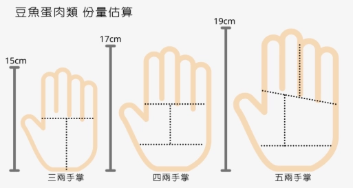 蛋白質攝取量計算