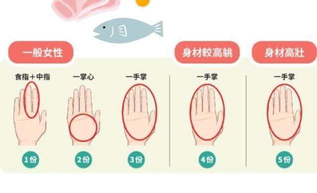 蛋白质食物来源