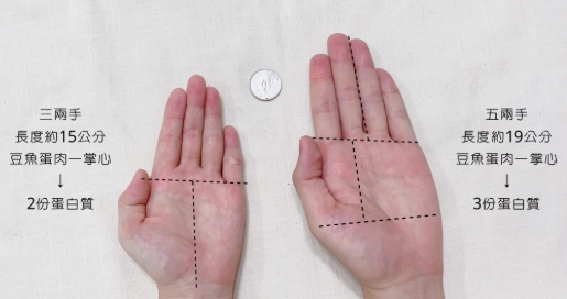 蛋白質手掌測量法