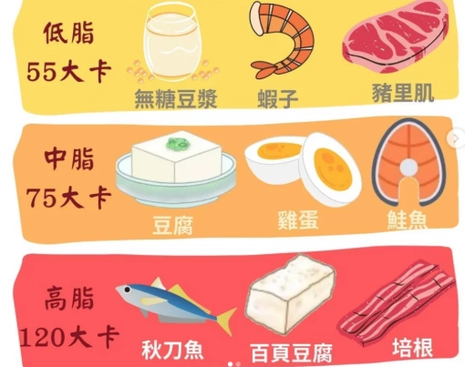 蛋白質攝取時機