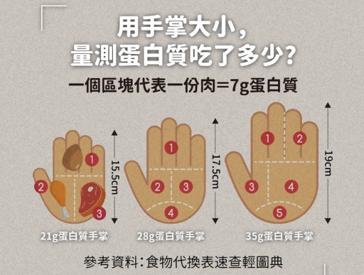 手掌計算蛋白質