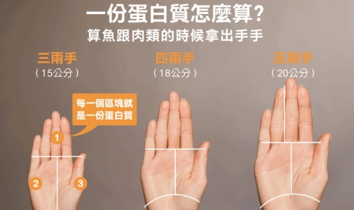 手掌計算蛋白質