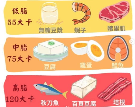 手掌大小蛋白質