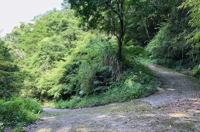 台灣登山停車點 台灣登山停車點
