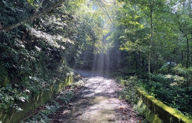 台灣登山停車點 台灣登山停車點
