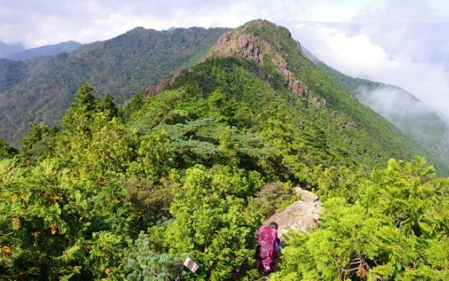 台灣登山步道路線圖