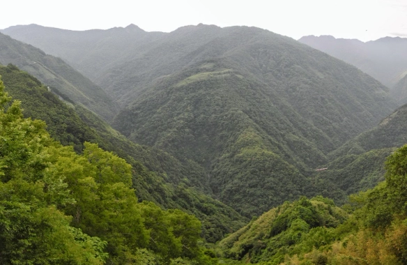 復興尖山 登山 復興尖山 登山