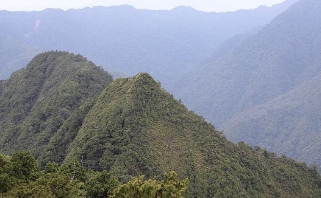 復興尖山 路線 復興尖山 路線