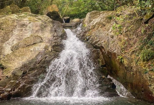 陽明山古道 陽明山古道