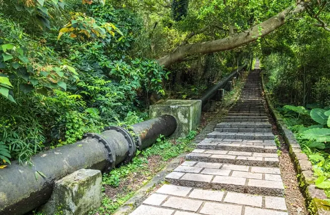 陽明山古道 陽明山古道