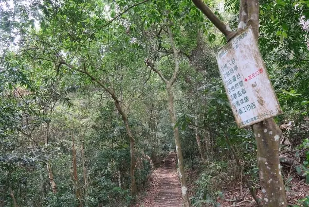 登山步道 登山步道