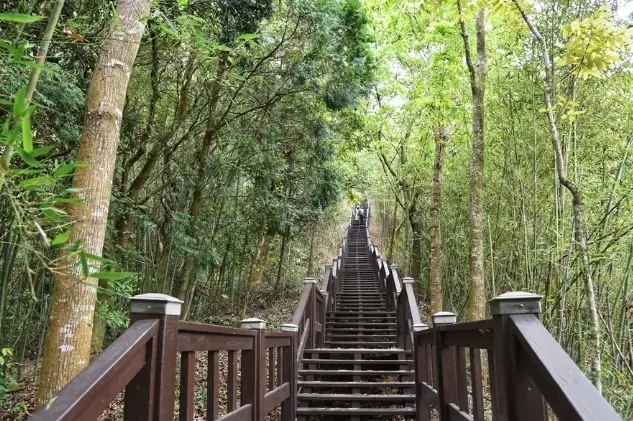 台中森林步道