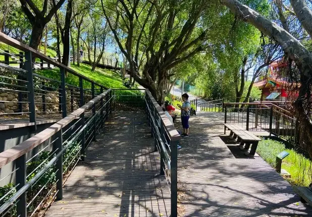 台中銀髮族旅遊 台中銀髮族旅遊