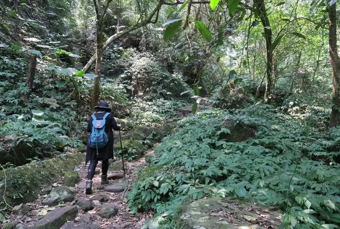 健行路線 健行路線