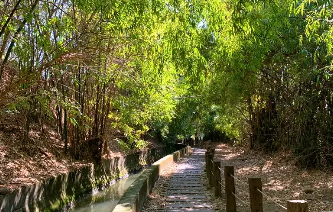 台中涼爽步道