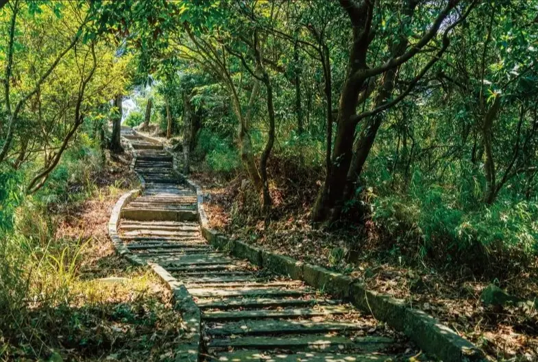 台北步道 台北步道