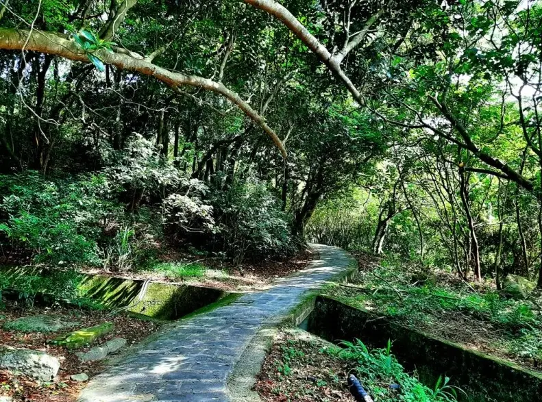 福隆登山步道完整攻略：交通、路線、景點與新手必看建議