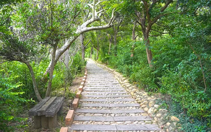 親子登山步道 親子登山步道