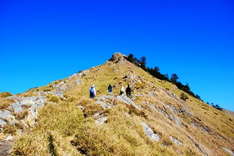 內湖步道 內湖步道