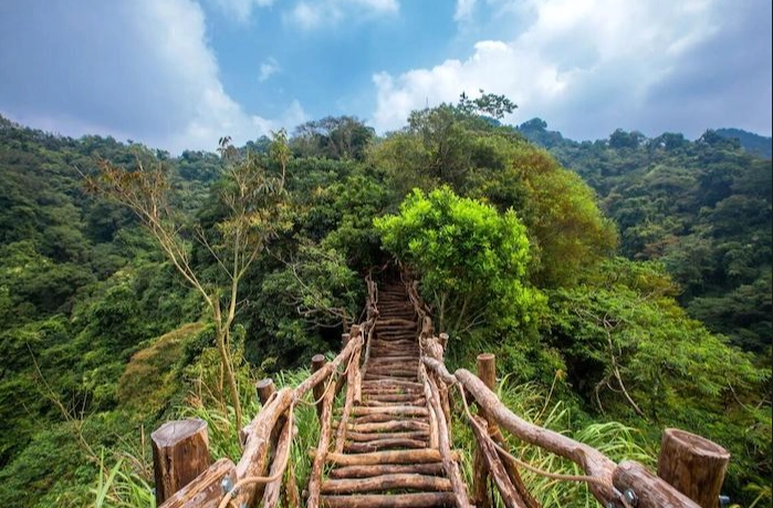 台灣登山步道推薦 台灣登山步道推薦