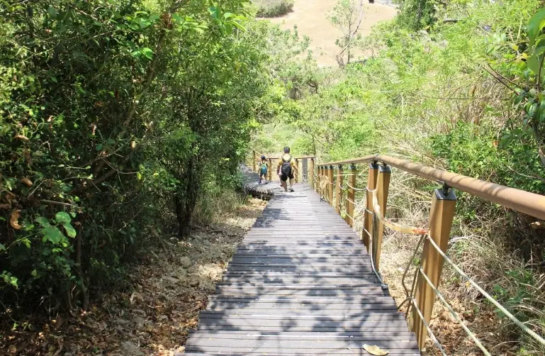 高雄爬山步道 親子 高雄爬山步道 親子