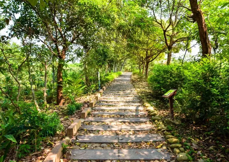 南寮登山步道美食