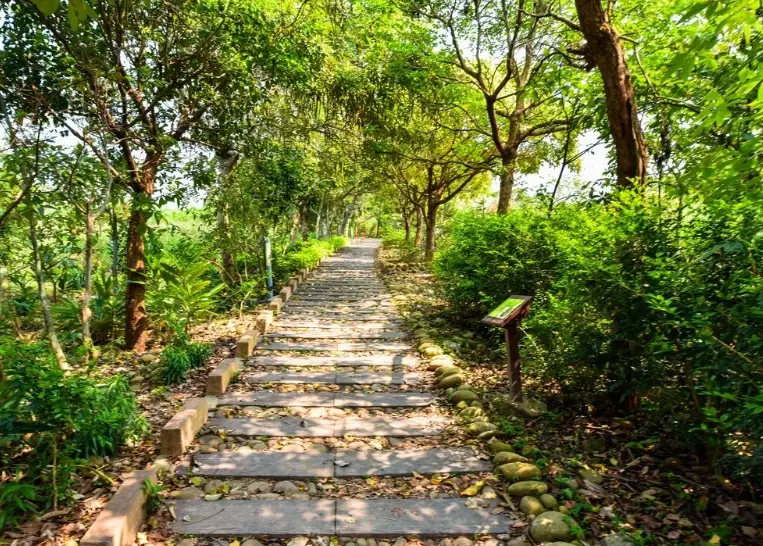 竹坑南寮步道 美食