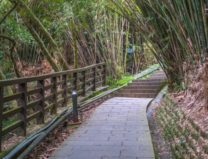 楓櫃斗湖步道 停車場