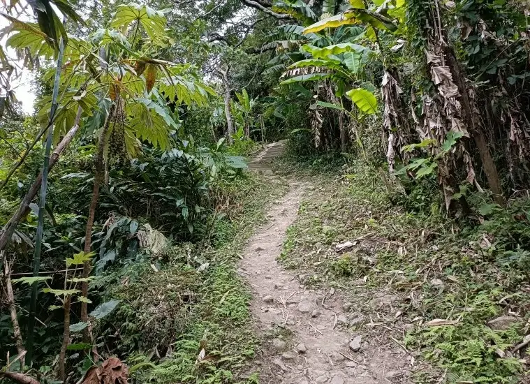 台東都蘭山步道