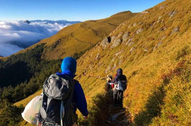 新手登山路線推薦！台灣5條入門級步道，輕鬆親近山林之美