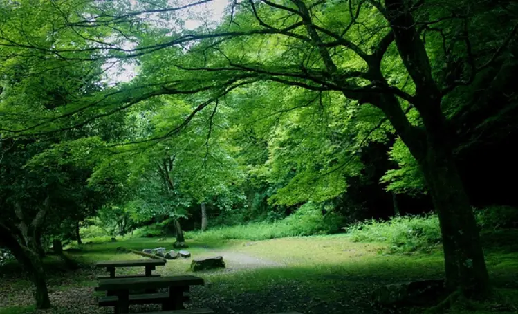 高雄自然步道 高雄自然步道