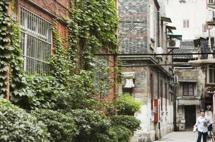 阿里山二萬坪怎麼去 阿里山二萬坪怎麼去