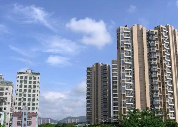 阿里山二萬坪怎麼去 阿里山二萬坪怎麼去