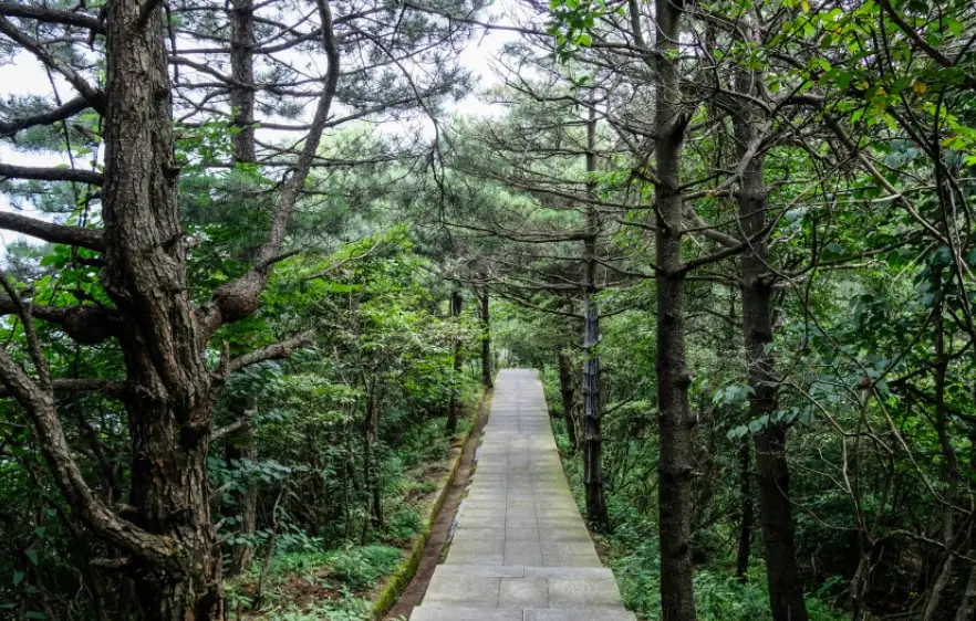 高雄爬山步道 高雄爬山步道