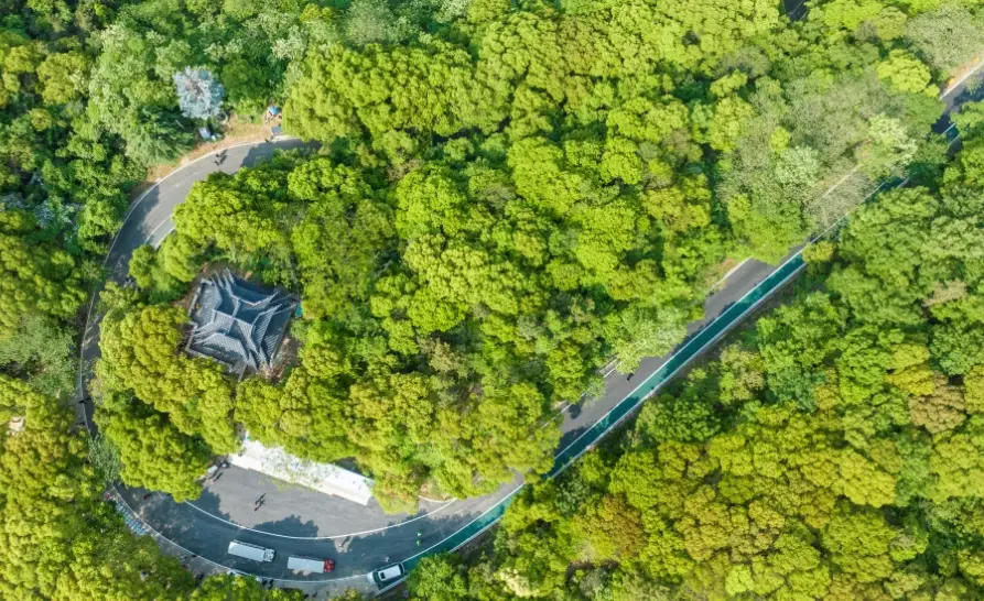 高雄自然步道 高雄自然步道