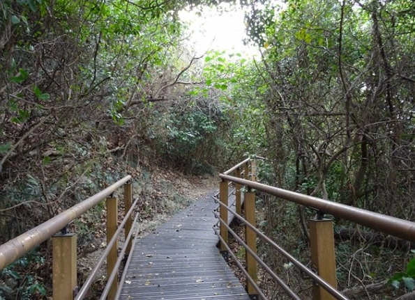 桃園健行步道 桃園健行步道