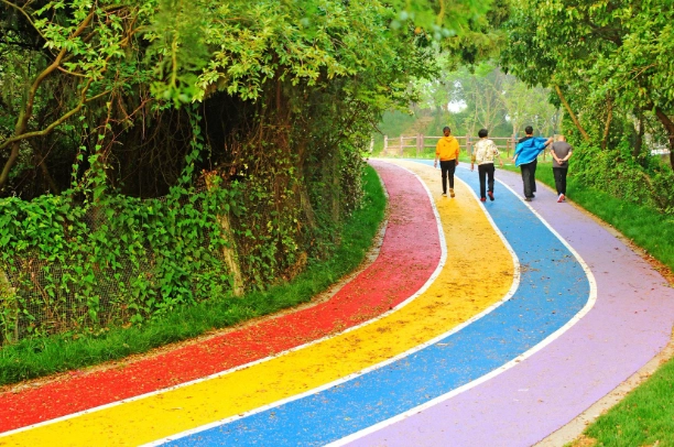 中壢步道推薦：私房健行路線、交通指南與新手必讀攻略