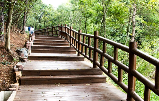 桃園健行步道 桃園健行步道