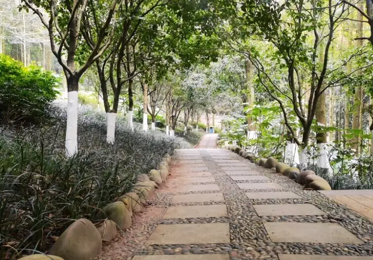 台南步道親子 台南步道親子