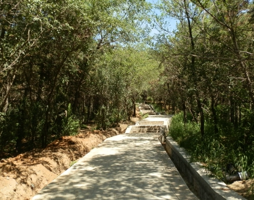 桃園郊山推薦 桃園郊山推薦